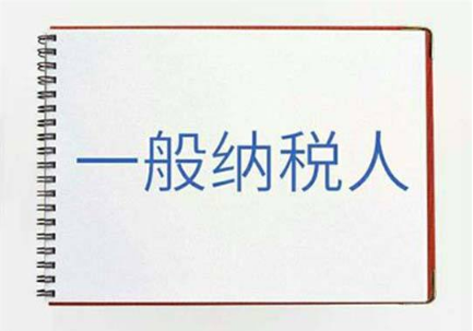 申办一般纳税人